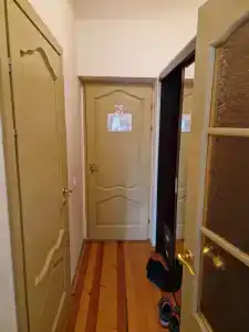 Беловежская пуща. №2 - 72