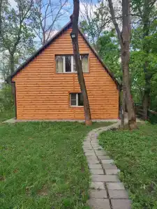 Алмаз - 37