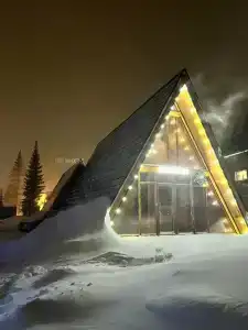 Снежная сова - 0