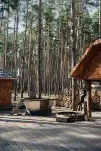 Берендей - 39