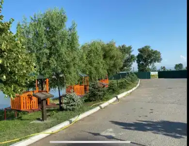 Асса - 12
