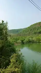 Родное - 83
