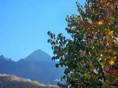 Шале Тихое место - 37