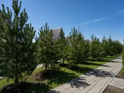 PavLove Village - 91