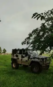 Мультинский рай - 3