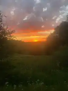 Друзья - 2