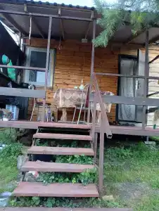Васькины Домики - 16
