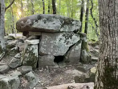Волшебные поляны - 42