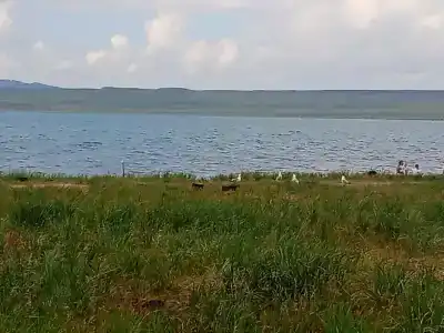 База отдыха Лазурный берег - 52