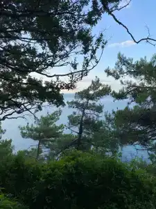 Эдельвейс - 6