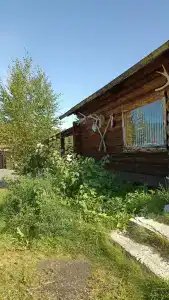 Аурелия - 23