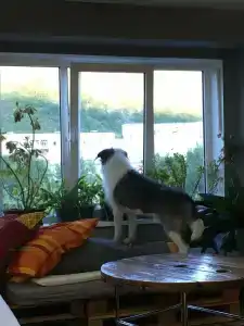 Акка Книбекайзе - 87