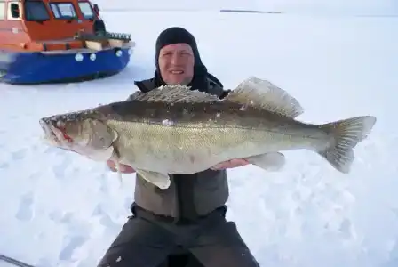 Big Fish - 3