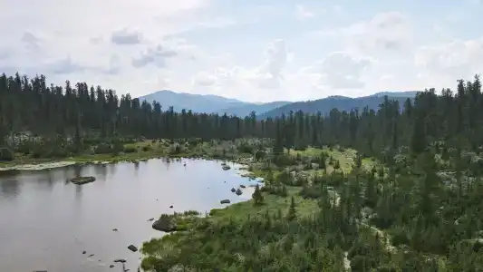 Хозяин Тайги - 40