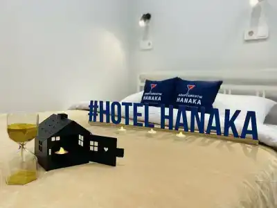 Hanaka - 2