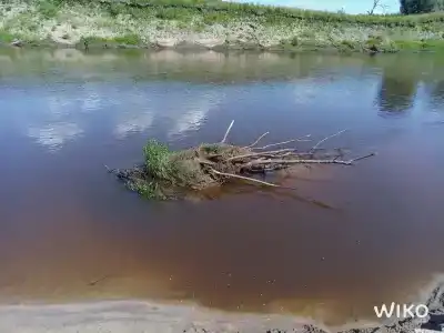 Белые бугры - 83