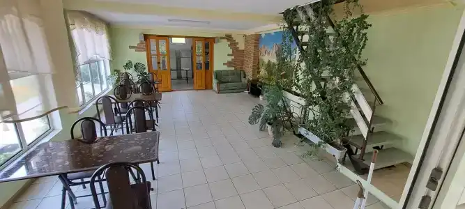 Дельфин - 3