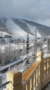 Замок Эдельвейс - 57