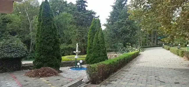 Сосновый - 12