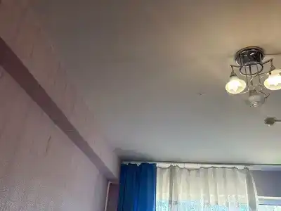 Центральная - 46