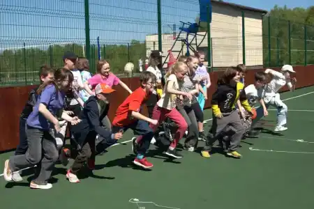 Земляничный - 95