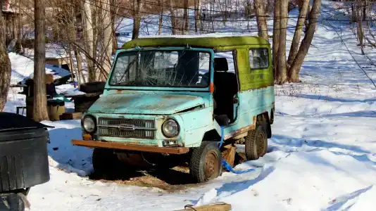 Бархатная Сихотэ - 6