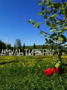 Мультиферма - 2