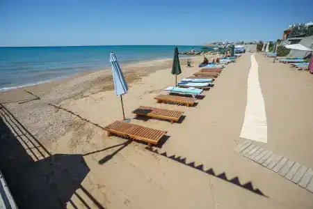 Вязовая роща - 98