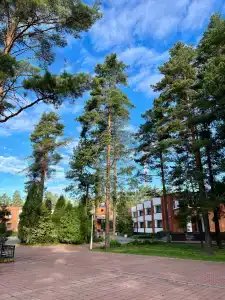 Мечта - 3
