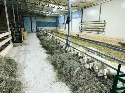 Дорпер-Фарм - 9