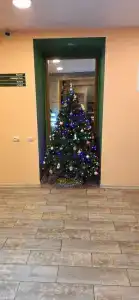 Арктик Хоум Даунтаун - 16