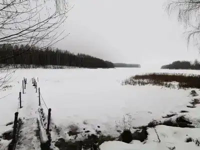 Куртюга - 12