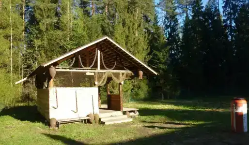Динамо - 11
