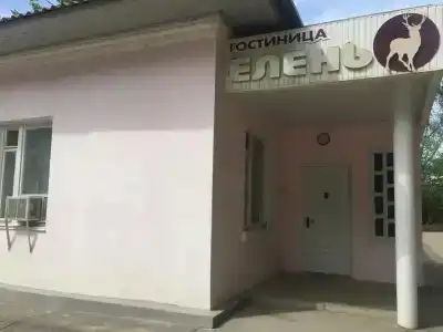 Елень - 4