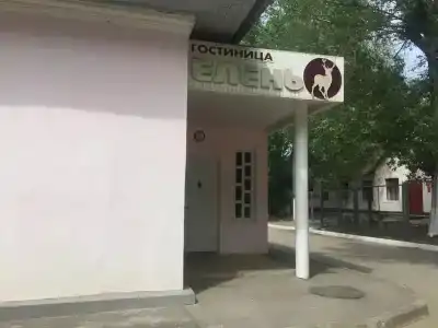 Елень - 5