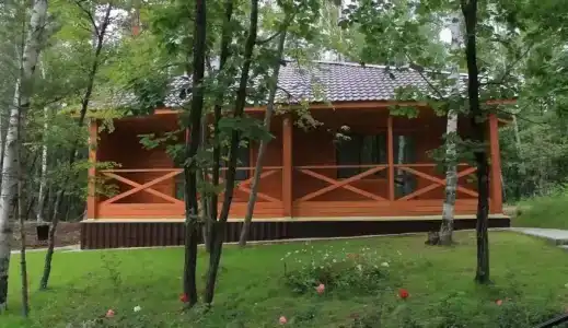 Мухинка - 5