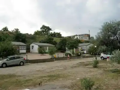 Дельфин - 2