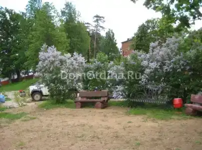 Остров - 8