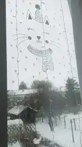 Петров Дом - 21