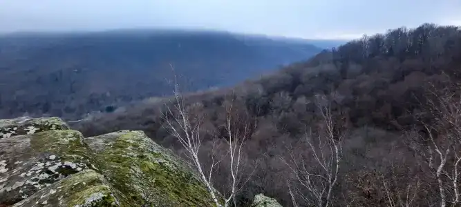 Форпост - 33