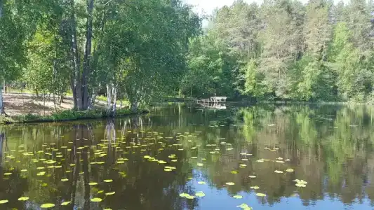 Свирское - 11