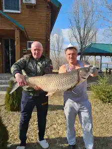 Мечта - 13