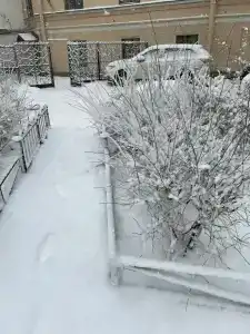 Жасмин - 18