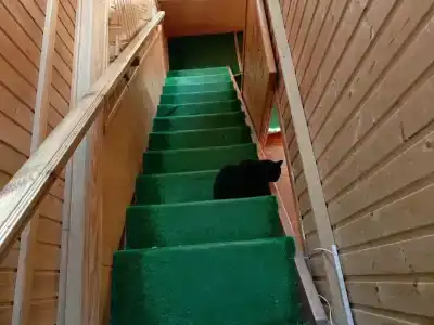 Русский Север - 42