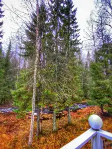 Дом-Баня у речки - 6