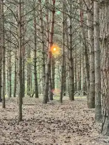 Белые бугры - 30