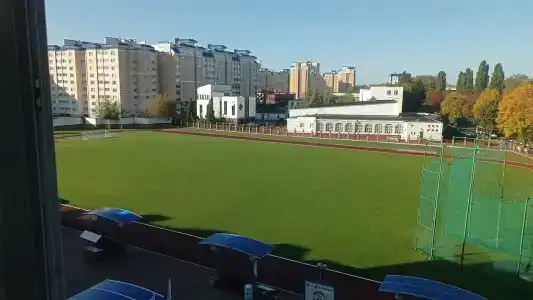 5 колец - 85