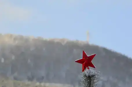 Пилигрим - 22