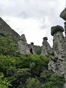 Каменные грибы - 16