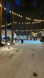 Каприз - 2